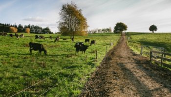 Farm fatalities on the rise